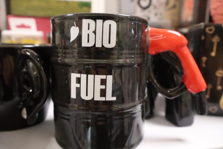 bio-fuel-bogre